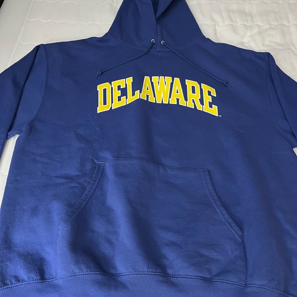 CHAMPION GRAPHIC HOODIE - Picture 2 of 10